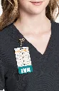 CK953A_PWT_7.webp