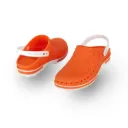 CLOG