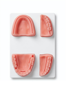 Dental Kit
